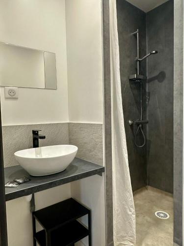 une salle de bain avec un lavabo et une douche dans l'établissement Dolaizon 2 - Studio Meublé 28 M2, au Puy-en-Velay