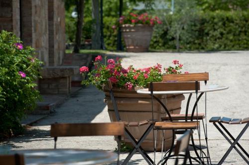 a table and chairs with a pot of flowers at SARNA Residence in San Quirico dʼOrcia