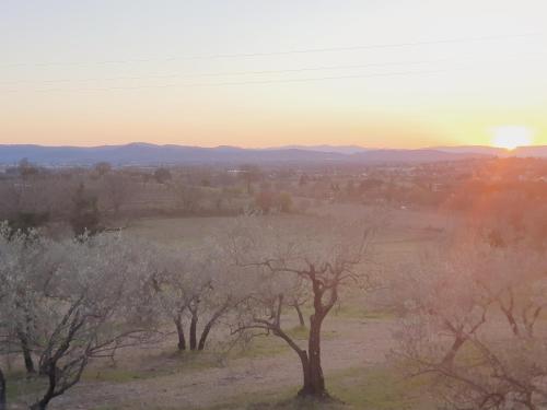 a field with trees with the sunset in the background at VioVillas Agriturismo Glamping Arezzo in Arezzo
