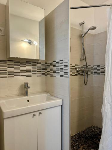 une salle de bain avec un lavabo et une douche dans l'établissement Dolaizon 1 - Studio Meublé 28 m2, au Puy-en-Velay