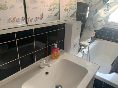 a bathroom sink with a soap bottle on top of it at Charmante Doppelhaushälfte Am Schwanensee 4 in Plön