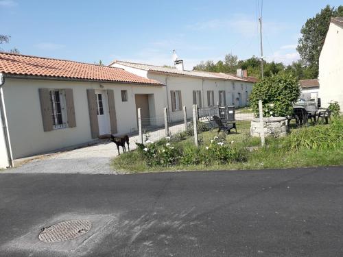 maison avec courette