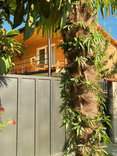 a fence with plants on it next to a house at Mountain View in Lagodekhi