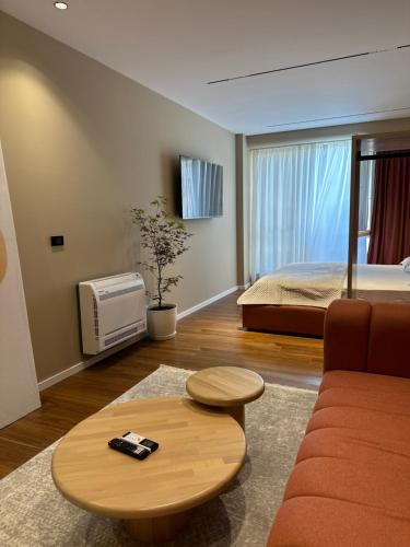 TV a/nebo společenská místnost v ubytování AGATE HOTEL self check in