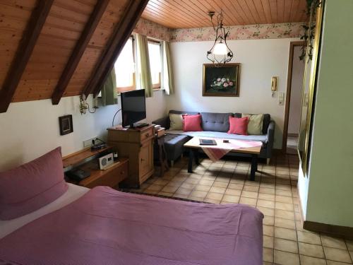 a living room with a couch and a tv at Haus Bachschwalbe in Sasbachwalden