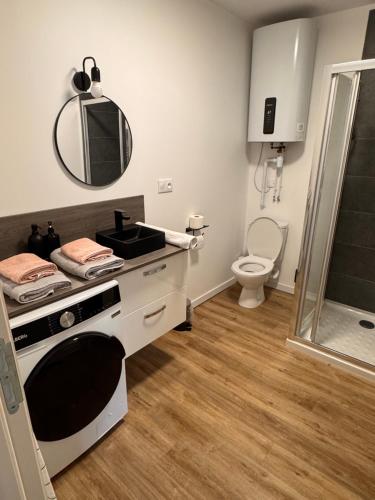 a bathroom with a sink and a toilet and a mirror at Le Pinot in Chouilly
