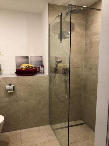 une douche avec une porte vitrée dans une salle de bain dans l'établissement Haus Seeblick Markdorf, à Markdorf