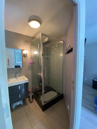 a bathroom with a shower with a sink and a toilet at Maison familiale à Fresselines, jardin, rivière in Fresselines