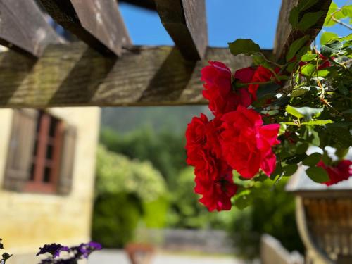 a bunch of red flowers on a wooden fence at Haus Carolus in Elbigenalp