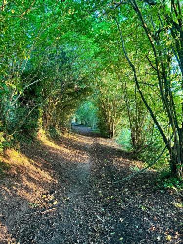 a dirt road through a forest with trees at Le Refuge du Tournapile - La Halte in Saint-Léger-Dubosq