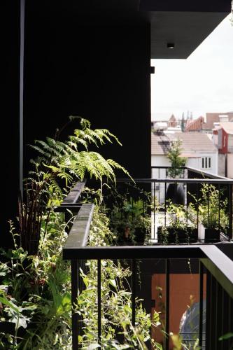 Balkoni atau teres di Ben Ben - Casa De iluso