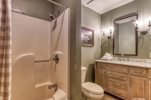 a bathroom with a toilet and a sink and a shower at Cades Cove Escape By Avada Properties in Townsend