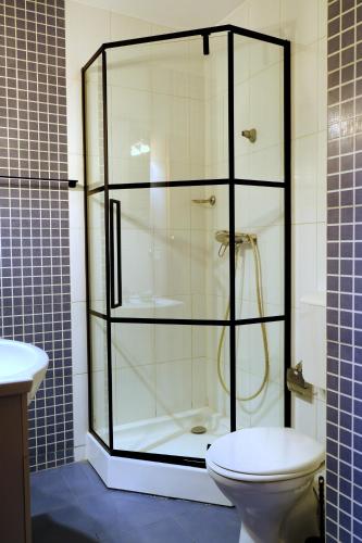 a bathroom with a glass shower with a toilet at Vila Iulia in Eforie Nord