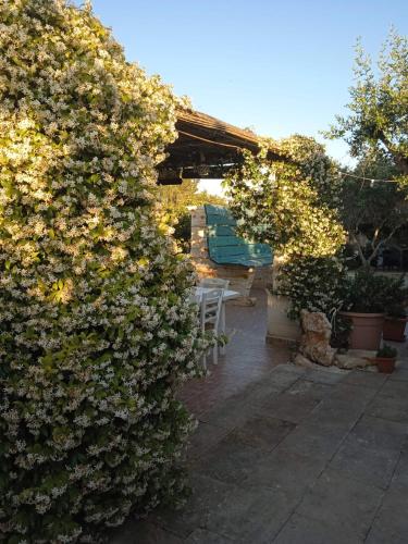 Zahrada ubytování B&B Le Carrube