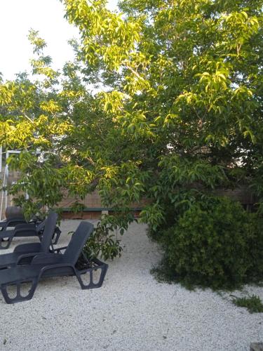 Zahrada ubytování B&B Le Carrube