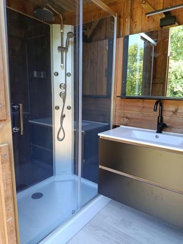 une salle de bain avec douche et lavabo dans l'établissement Domaine Les secrets de la nature, à Savignac-Lédrier