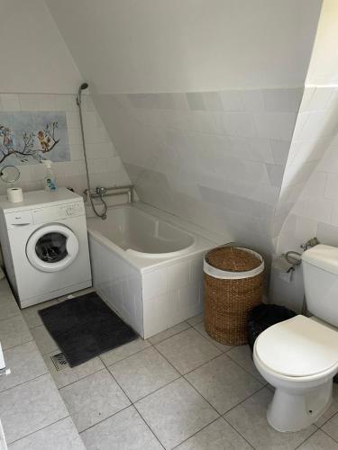 a bathroom with a washing machine and a toilet at Casa Rujoiu in Bertea