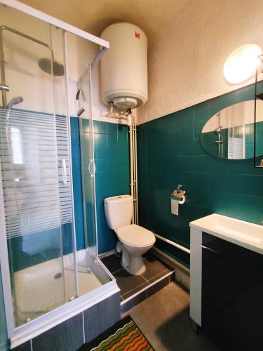 une salle de bain avec toilettes, douche et lavabo dans l'établissement T1 Cosy au Centre Historique, à Narbonne
