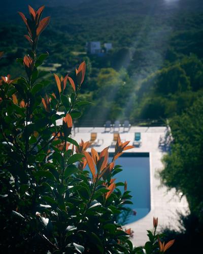 a view of a swimming pool from behind a tree at Los Ancares Resort in Mina Clavero