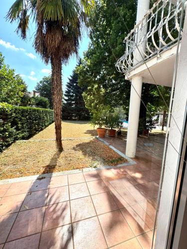 a palm tree in front of a house at Božič Residence in Vipava