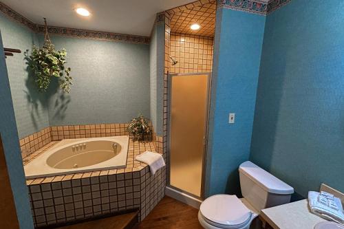a bathroom with a bath tub and a toilet at Big Boulder Lake Townhome in Lake Harmony