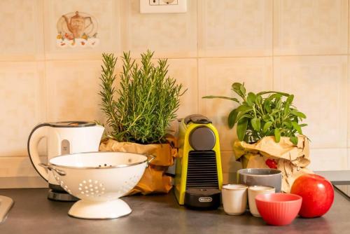 a kitchen counter with a mixer and some plants at Book & Art Holiday House in Lido di Ostia