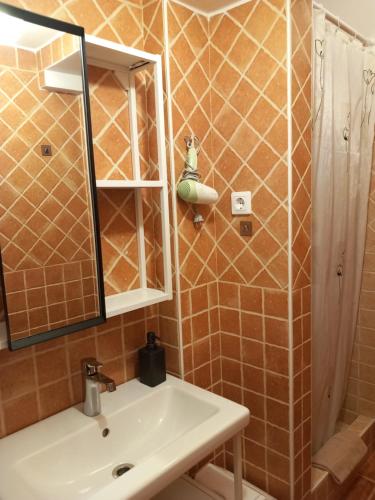 a bathroom with a sink and a shower and a mirror at Karpatia Esztergom in Esztergom