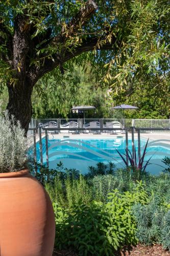 a swimming pool with chairs and a tree at Novotel Nice Aéroport Cap 3000 in Saint-Laurent-du-Var