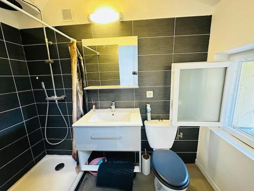 une salle de bain avec un lavabo, des toilettes et un miroir dans l'établissement Duplex climatisé - hyper centre - Cœur de Nice, à Nice