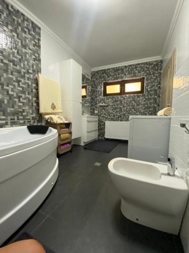 a bathroom with a tub and a toilet and a sink at Andrada Holiday House in Oradea