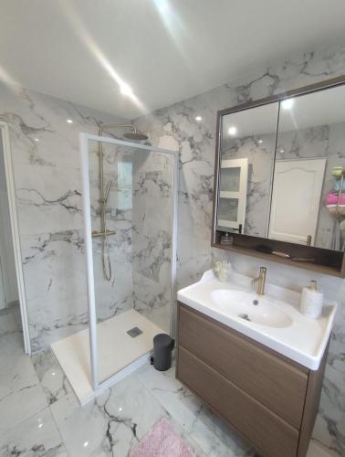 une salle de bain avec un lavabo et une douche dans l'établissement Proche Paris, Aéroports Roissy Charles de Gaulle, Bourget, Parc des Expositions Villepinte, à Arnouville-lès-Gonesse