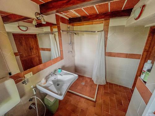 a bathroom with a sink and a shower at Podere YogAyur in Parrano