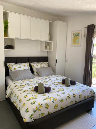 Lemon studio