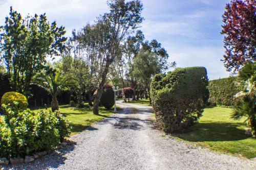 Villa Yoda – Photos 3