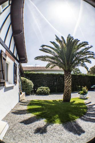 Villa Yoda – Photos 4