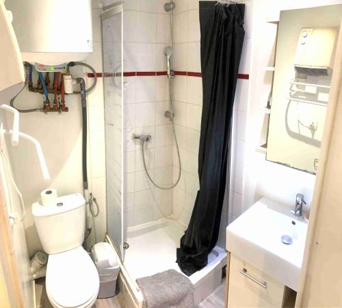 une salle de bain avec une douche, des toilettes et un lavabo dans l'établissement Studio MAKATI, à Chambéry