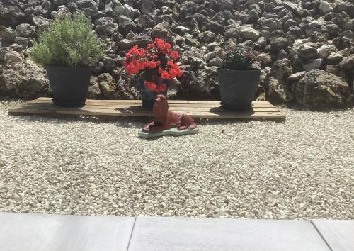 two potted plants and a figurine on a gravel ground with two plants at Chez Goret Gites - Gite Skippy Couples only in Courgeac