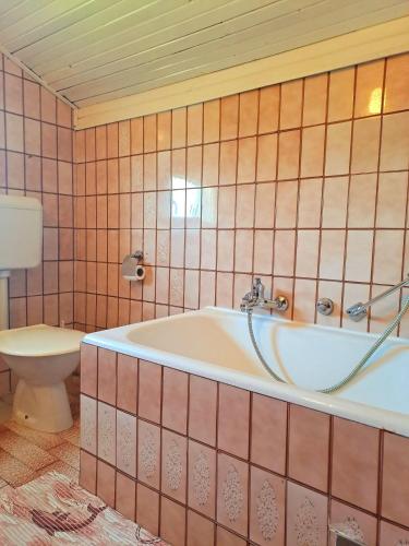 a bathroom with a tub and a toilet at Apartmani Mirko App in Molat