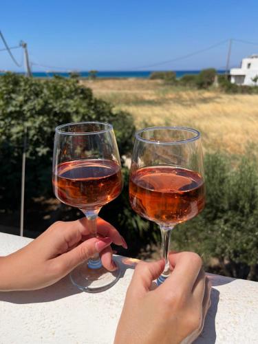 two people holding up glasses of wine at Studio Tolakis in Plaka