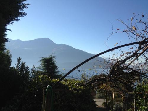 a view from a garden with mountains in the background at My Holidays Bei Franca in Domaso