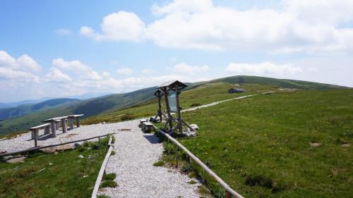 a path on top of a grassy hill at Pamir Guest House in Shipkovo