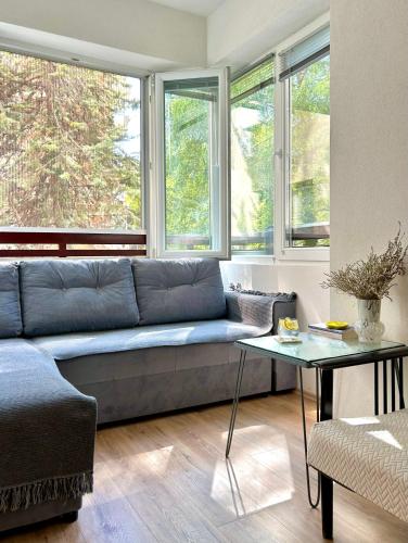 un salon avec un canapé bleu et des fenêtres dans l'établissement The Studio Apartment, à Ohrid
