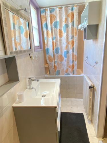 une salle de bain avec un lavabo et une douche dans l'établissement Joli appartement avec jardin, à Cannes
