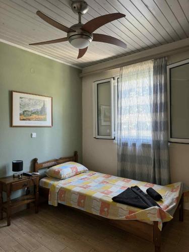 a bedroom with a bed and a ceiling fan at Christina Apartment in Ágios Konstantínos