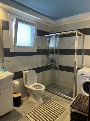 a bathroom with a toilet and a shower at Christina Apartment in Ágios Konstantínos