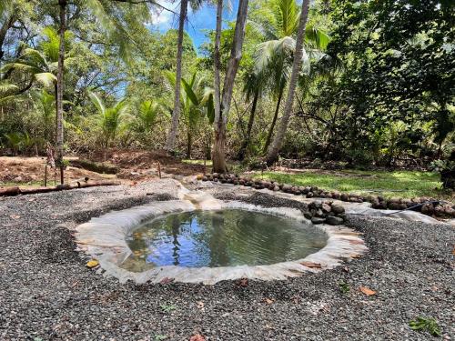 a small pool of water in the middle of a road at Casa Manglar Villa in Puerto Jiménez