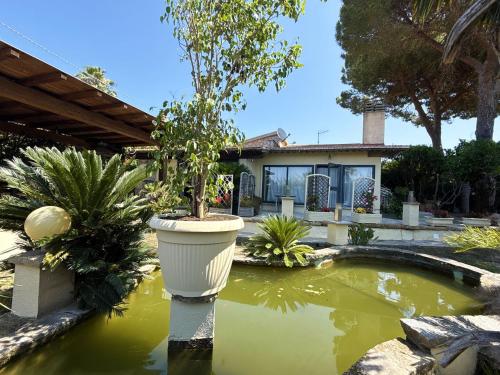 En have udenfor Casa Luigina - ArgonautiVacanze