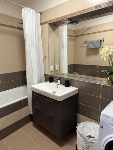 Ένα μπάνιο στο Apartmán Plzeň - Černice