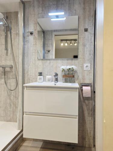 a bathroom with a sink and a shower at Studio payolle face lac et du Pic du Midi in Barrancoueu