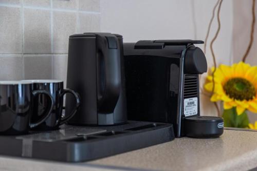 a microwave sitting on a kitchen counter with a sunflower at Del Mar Sithonia Studios&Apartments in Neos Marmaras